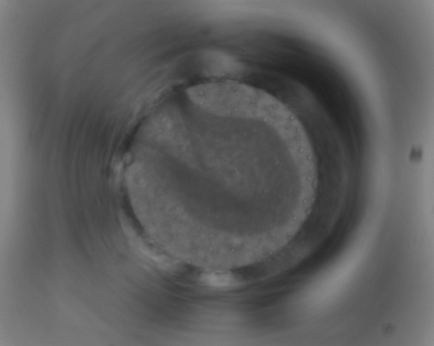 X0000113170767200910161307