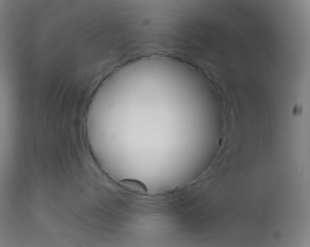 X0000113170768200910161307