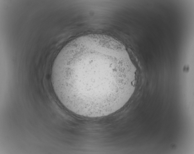 X0000113170769200910161307