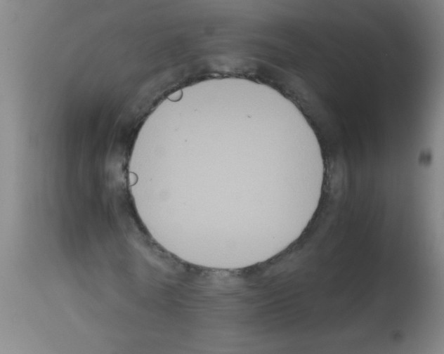 X0000113170770200910161307