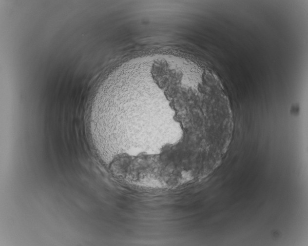 X0000113170772200910161307