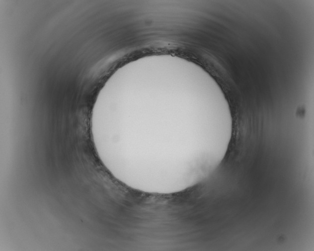 X0000113170773200910161307