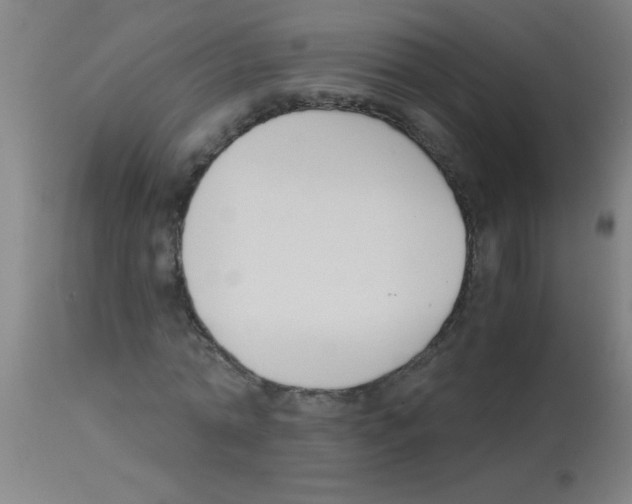 X0000113170774200910161307