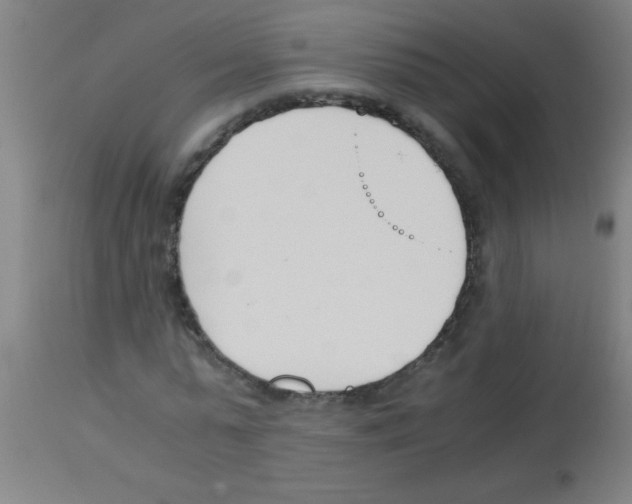 X0000113170775200910161307