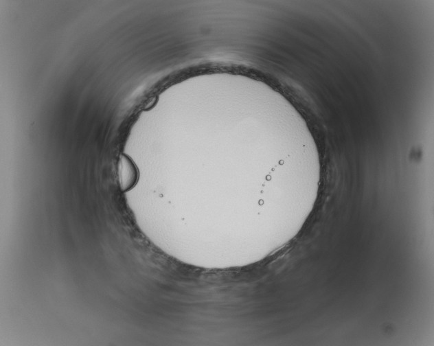 X0000113170776200910161307