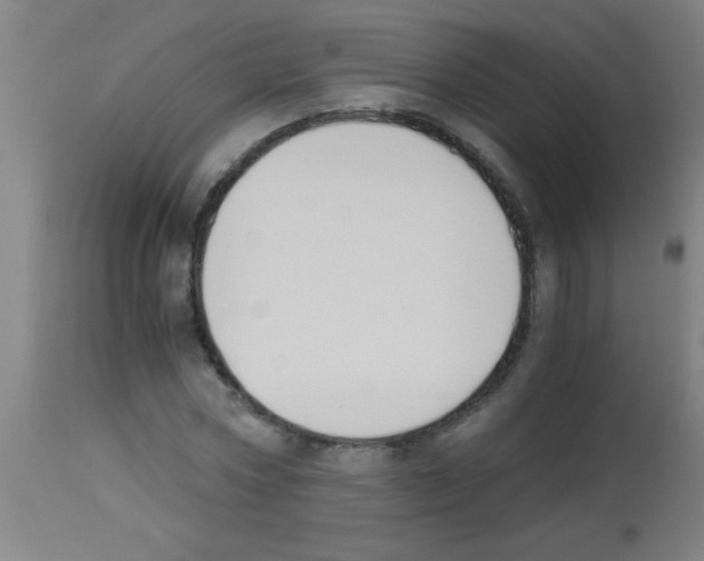 X0000113170778200910161307