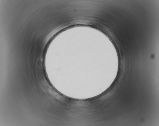 X0000113170779200910161307
