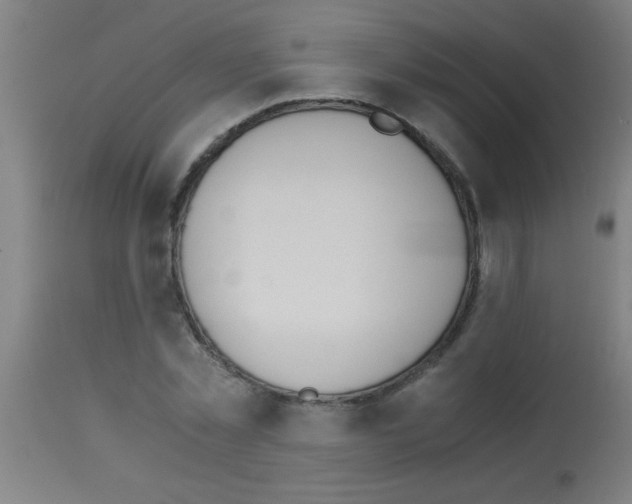 X0000113170781200910161307