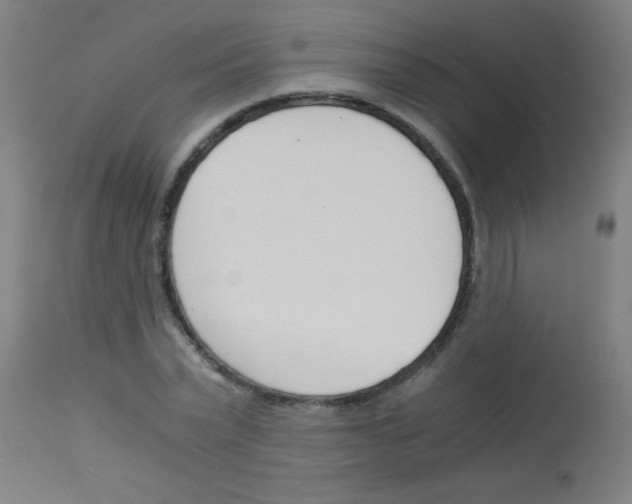 X0000113170783200910161307