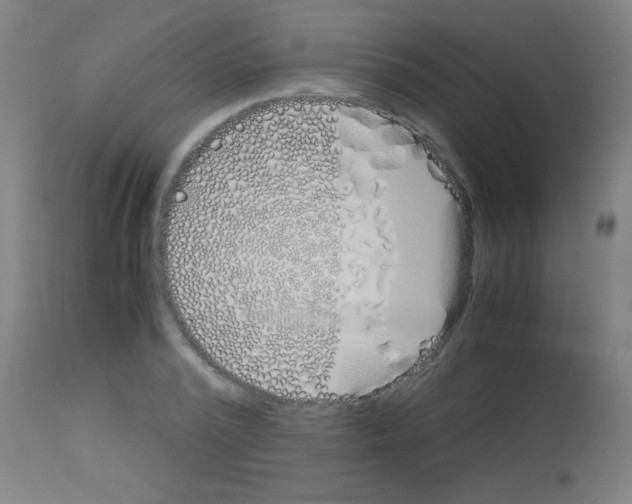 X0000113170784200910161307