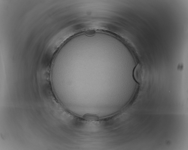X0000113170785200910161307
