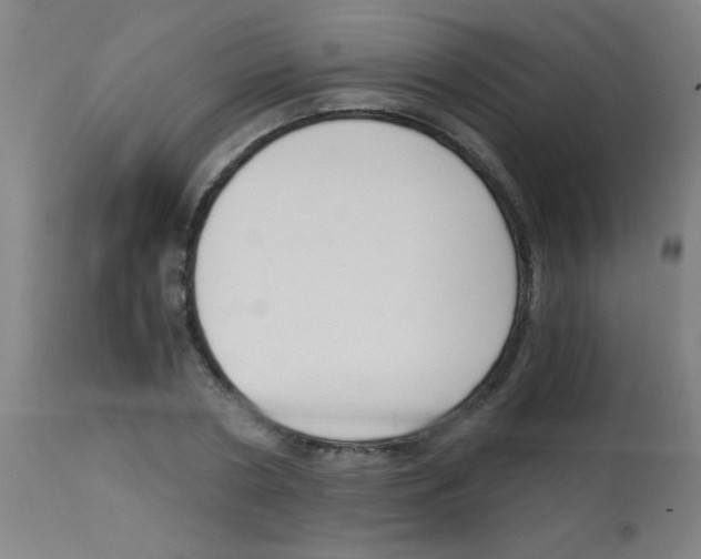 X0000113170786200910161306