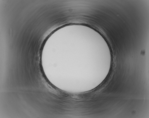 X0000113170787200910161306