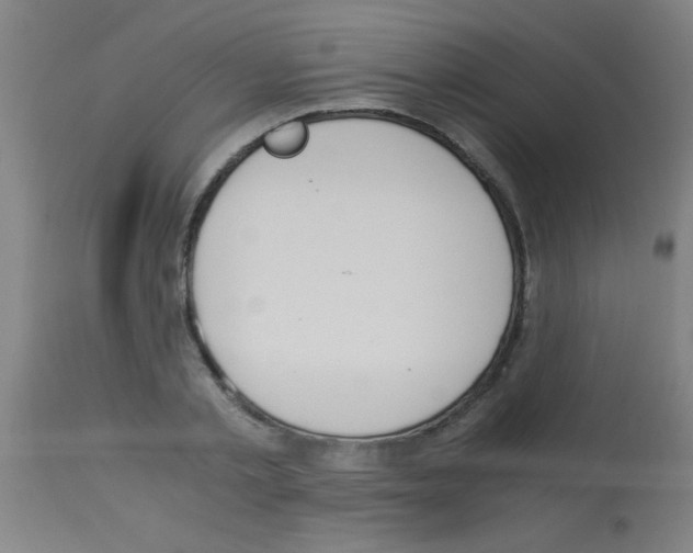 X0000113170789200910161306