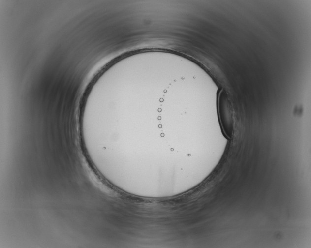 X0000113170792200910161306