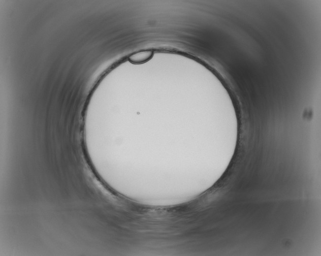 X0000113170799200910161306