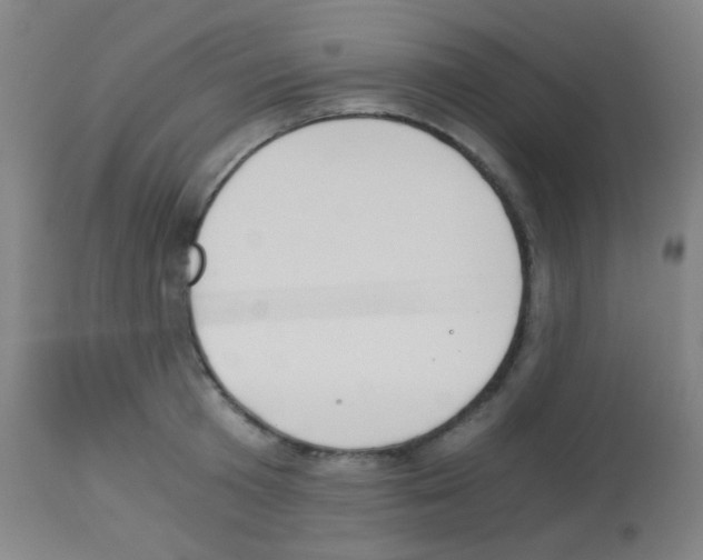X0000113170801200910161306
