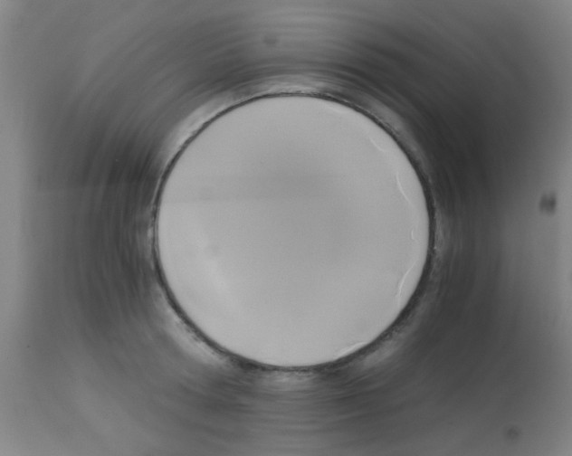 X0000113170802200910161306