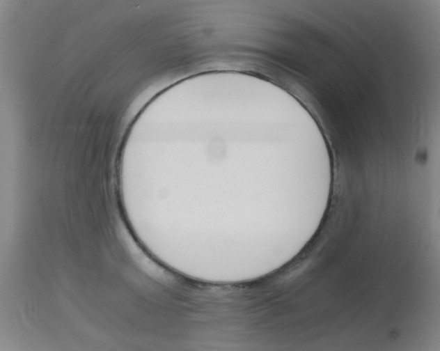 X0000113170803200910161306