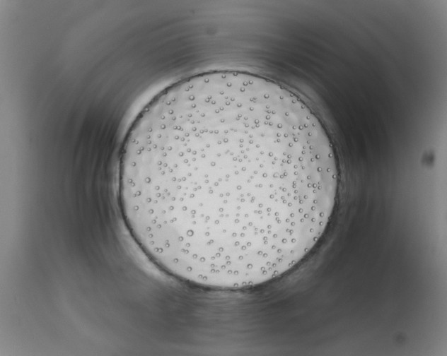 X0000113170804200910161306