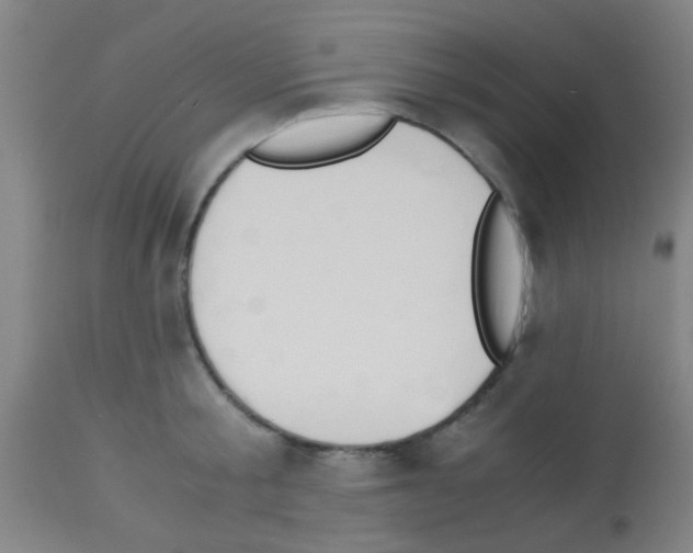 X0000113170805200910161306