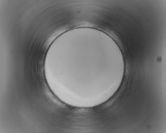 X0000113170806200910161306
