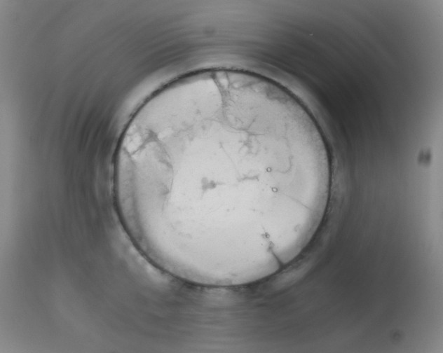 X0000113170807200910161306