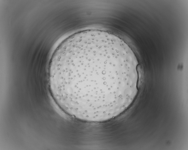 X0000113170808200910161306