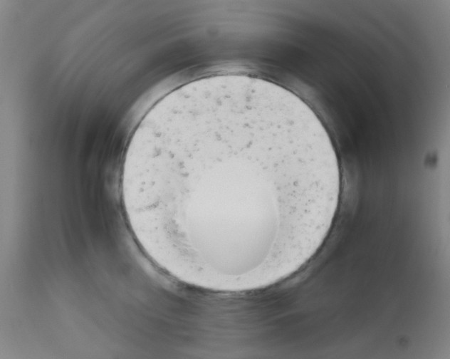 X0000113170810200910161306