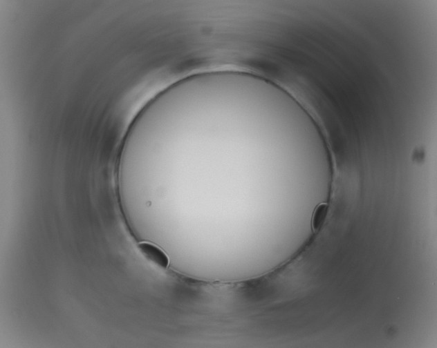 X0000113170813200910161306