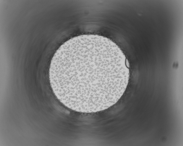 X0000113170817200910161305