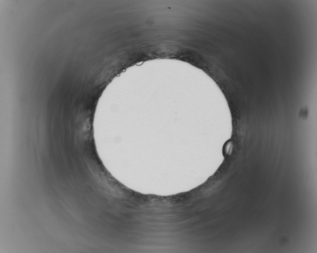 X0000113170818200910161305