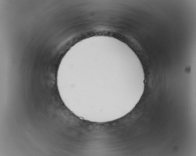 X0000113170821200910161305