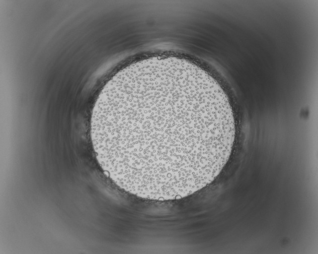 X0000113170823200910161305