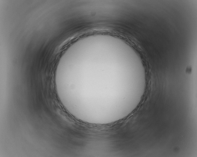 X0000113170824200910161305