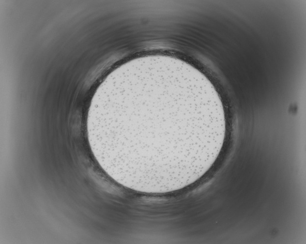 X0000113170825200910161305
