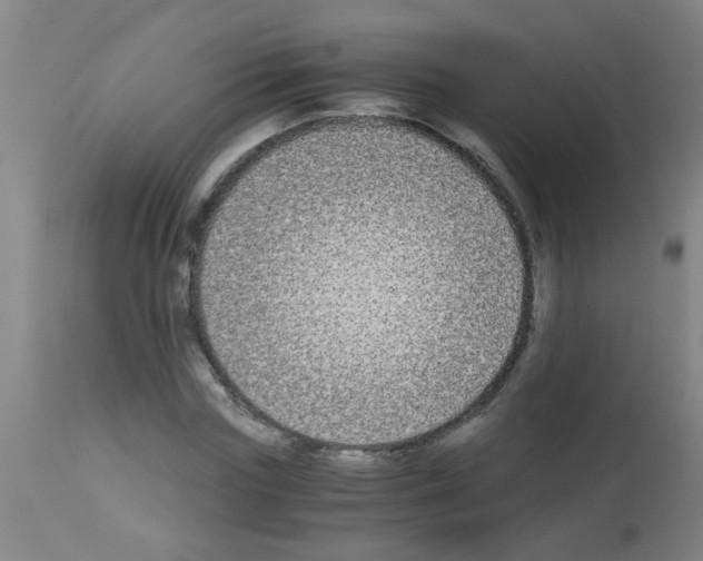 X0000113170827200910161305