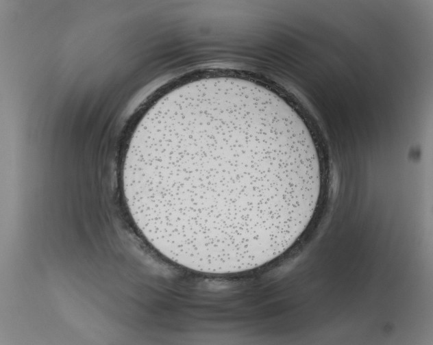 X0000113170829200910161305