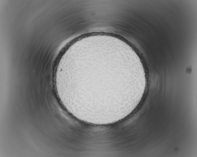 X0000113170830200910161305
