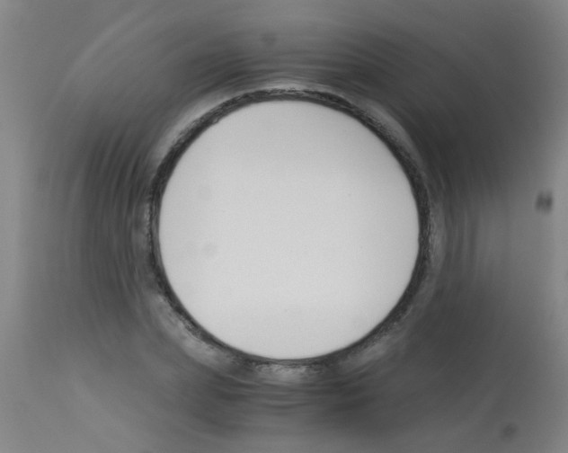 X0000113170831200910161305