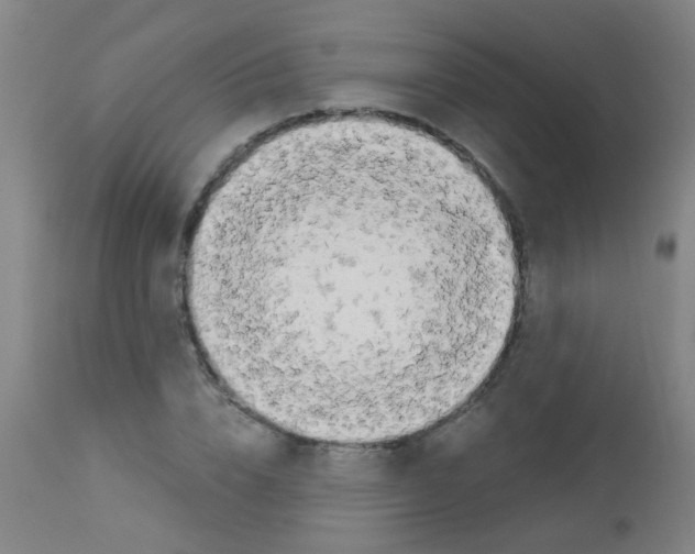 X0000113170832200910161305