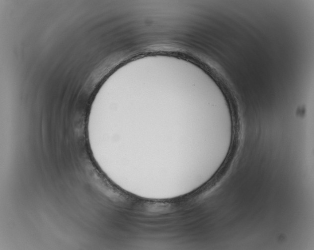 X0000113170833200910161305