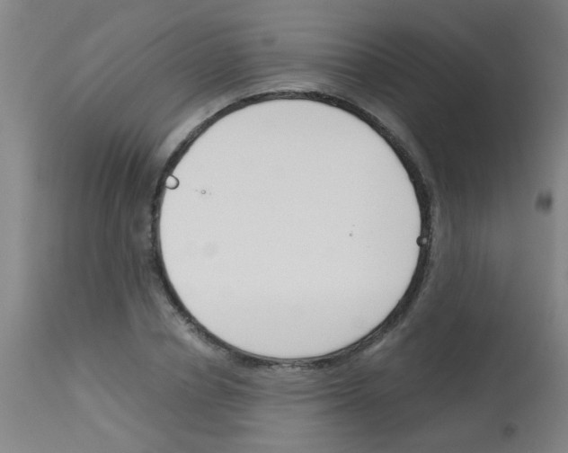 X0000113170834200910161305