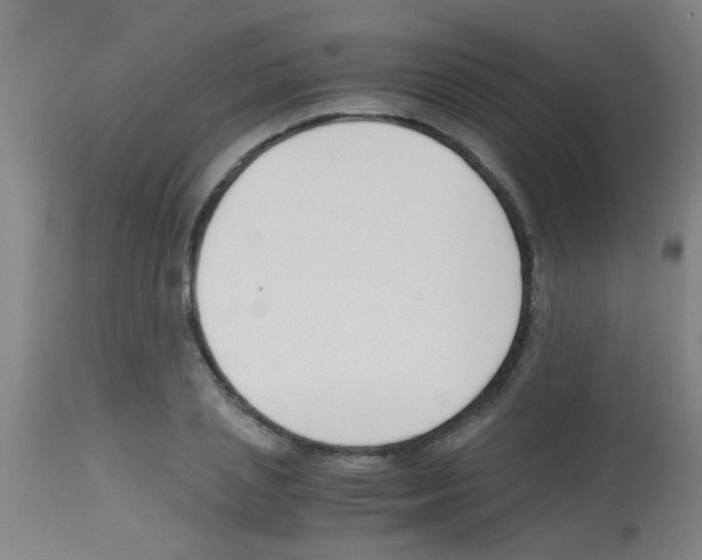 X0000113170837200910161306