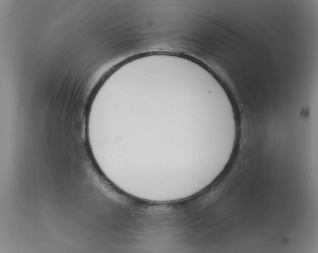 X0000113170838200910161306