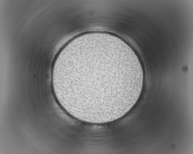 X0000113170839200910161306