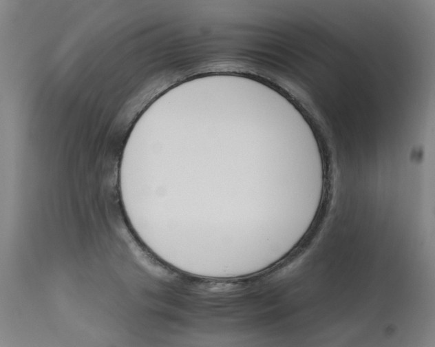 X0000113170841200910161306