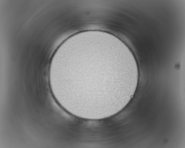 X0000113170847200910161306