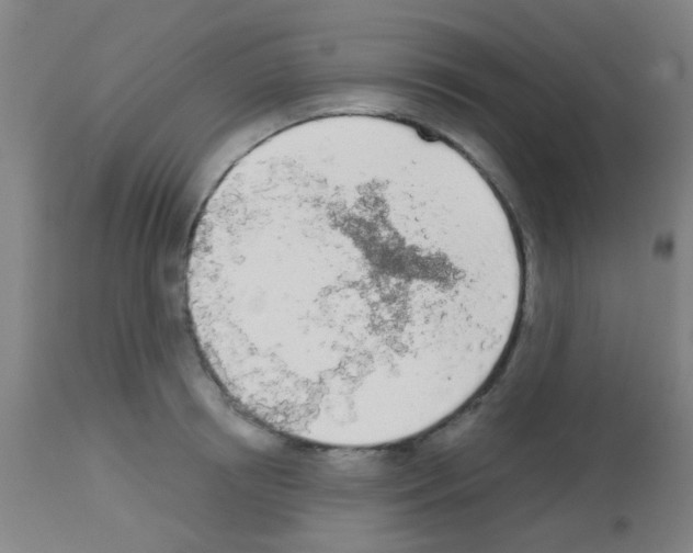 X0000113170850200910161306