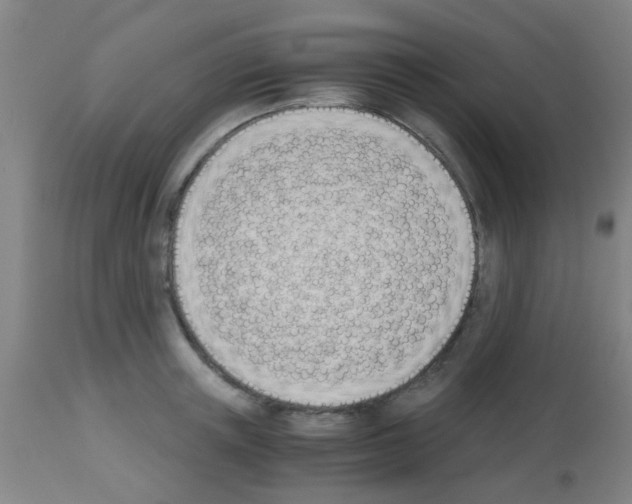 X0000113170851200910161306